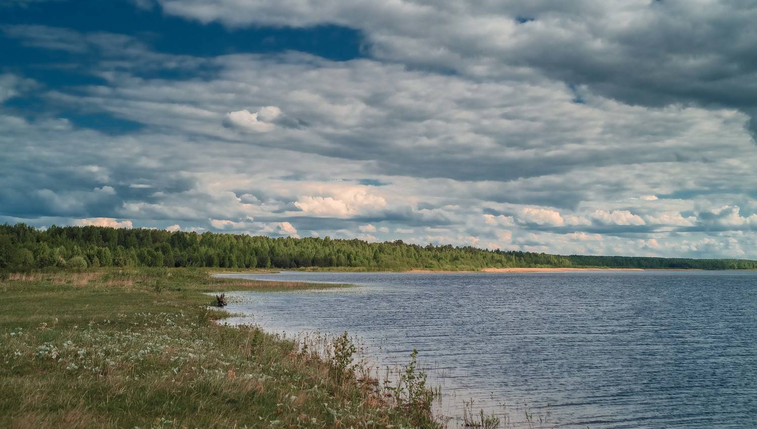 пейзаж, весна, landscape,пруд, spring, Владимир Васильев