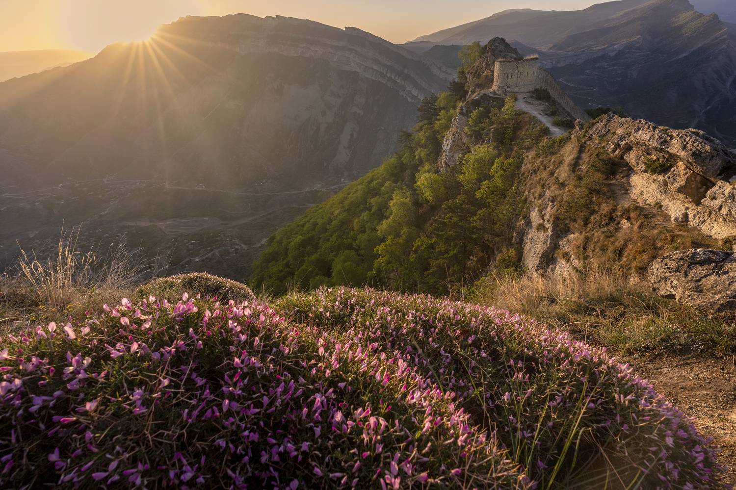 Дагестан, Елена Гусева