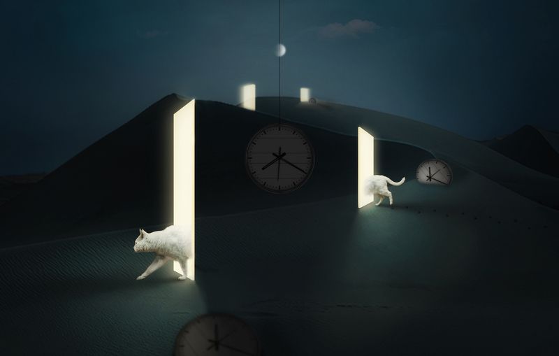 创意 后期 猫 时光穿梭眯 фото превью