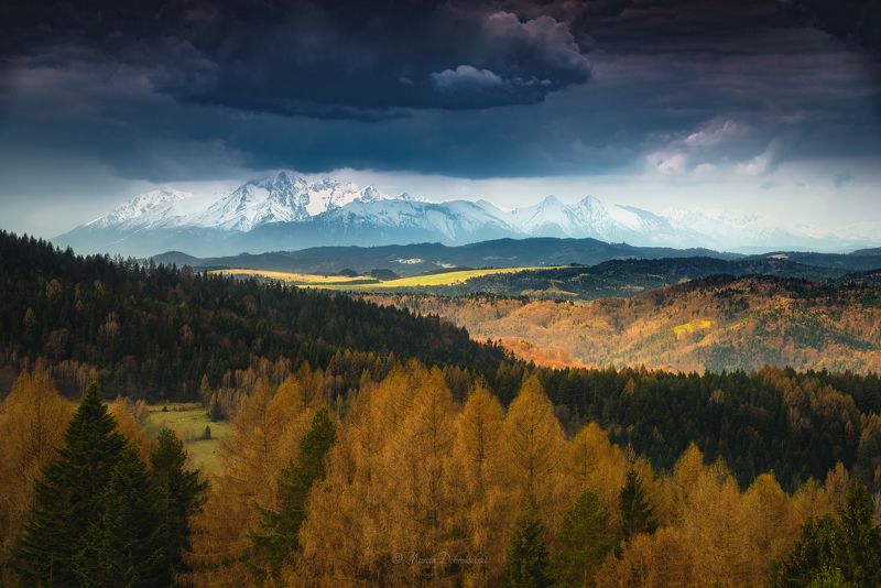 mountainscape, mountains, tatras, poland, beskidy, wierchomla, spring, clouds, forest, storm, trees, polska, tatry, landscape, moody The Sword of Damocles фото превью
