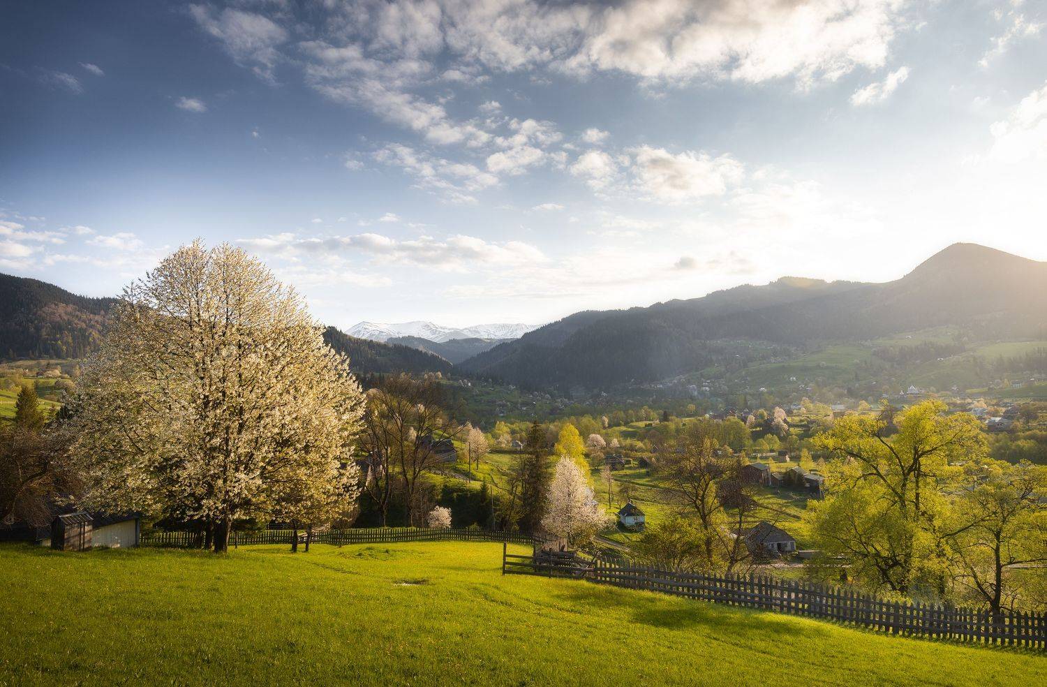 , Дмитрий Иванов