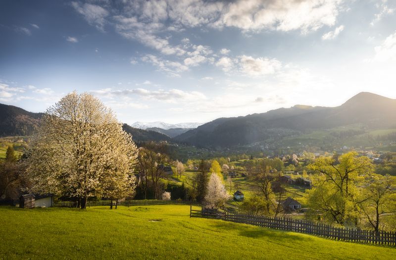 Dzembronya фото превью