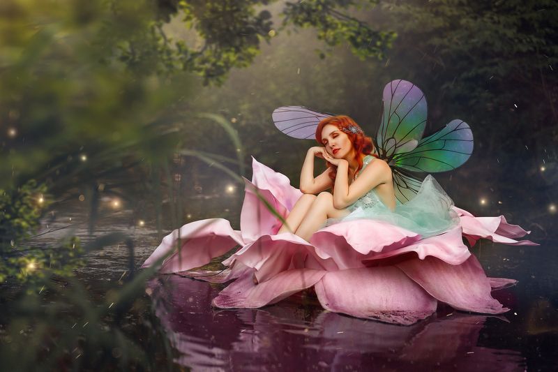 fairy фото превью