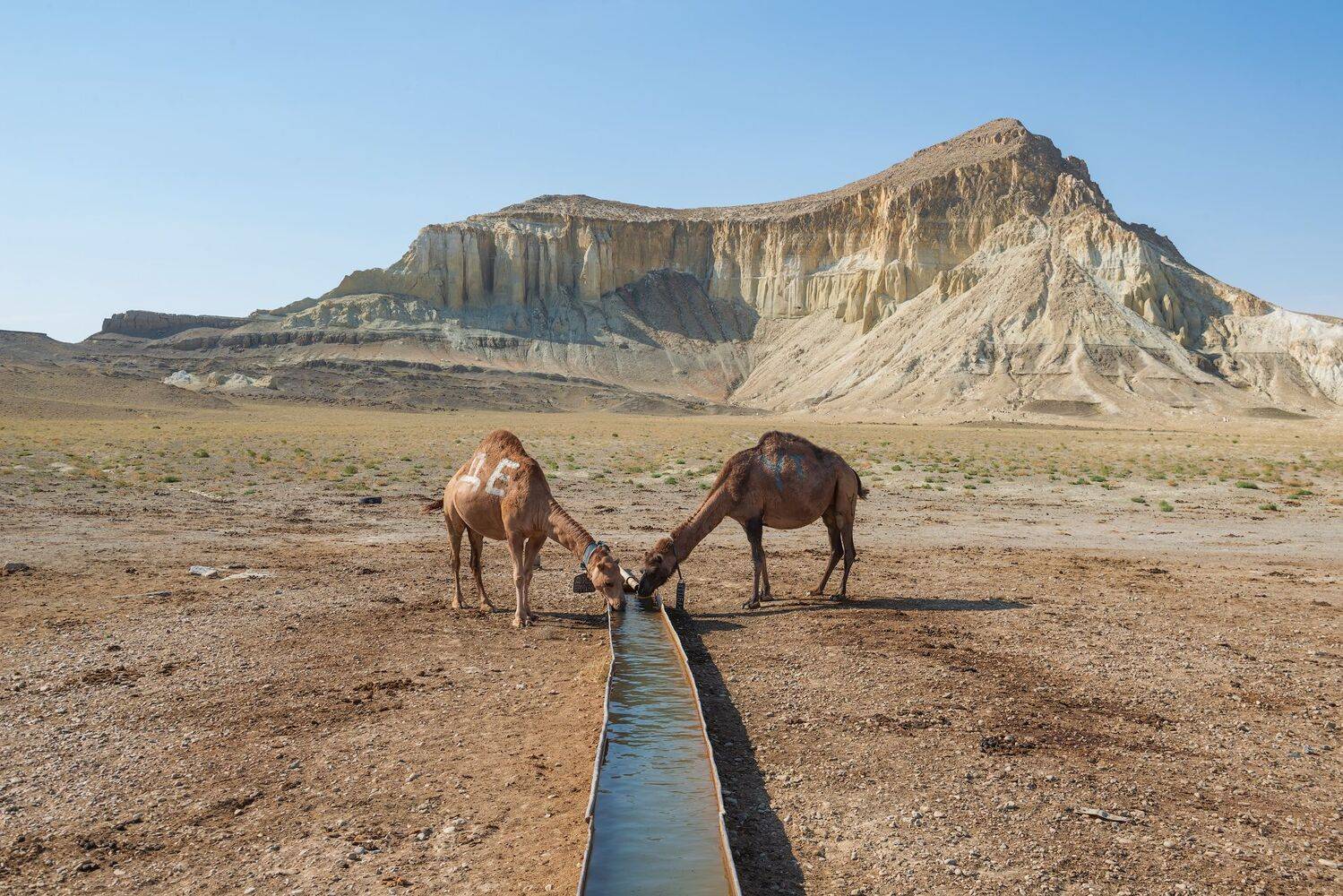 мангистау, казахстан, фототур, Кутыгин Эдуард
