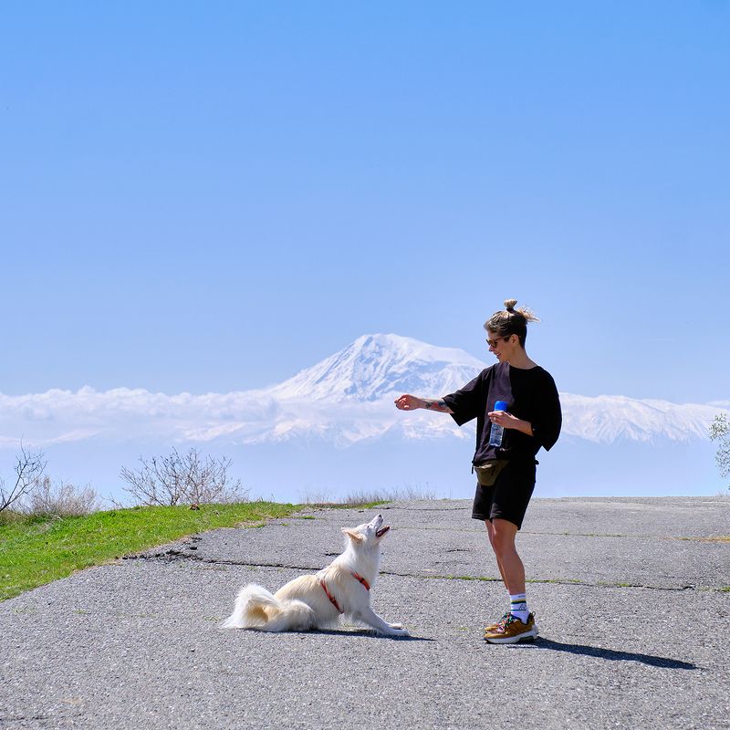 [perfect catch] фото превью