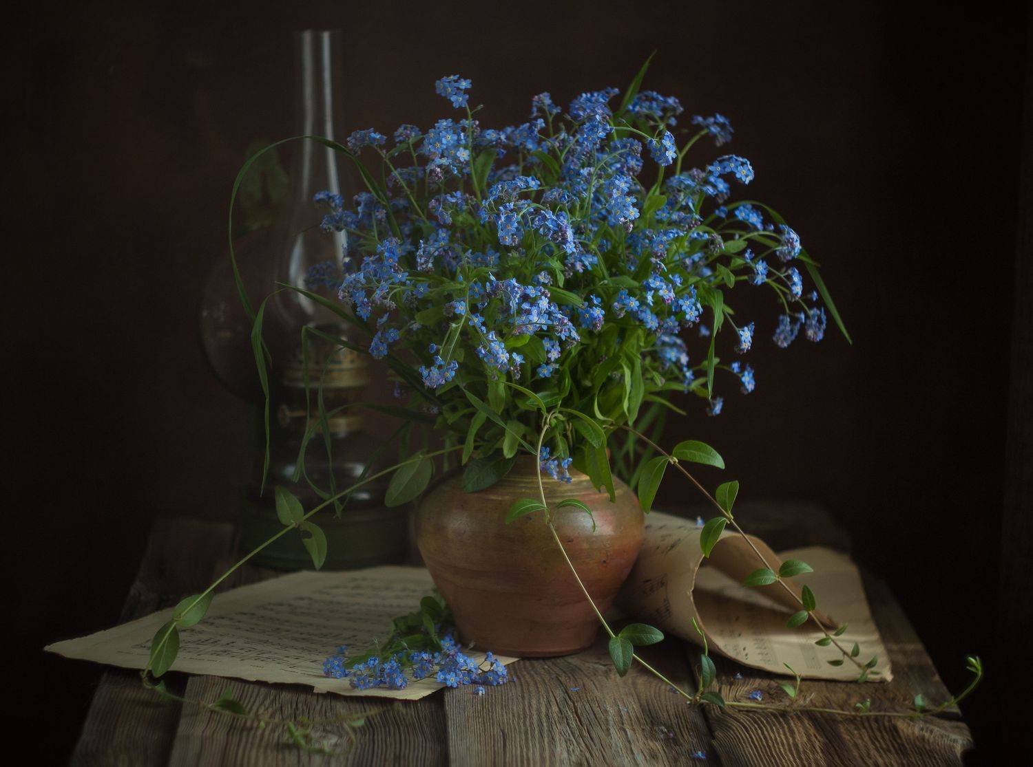 , Хвойнова Елена