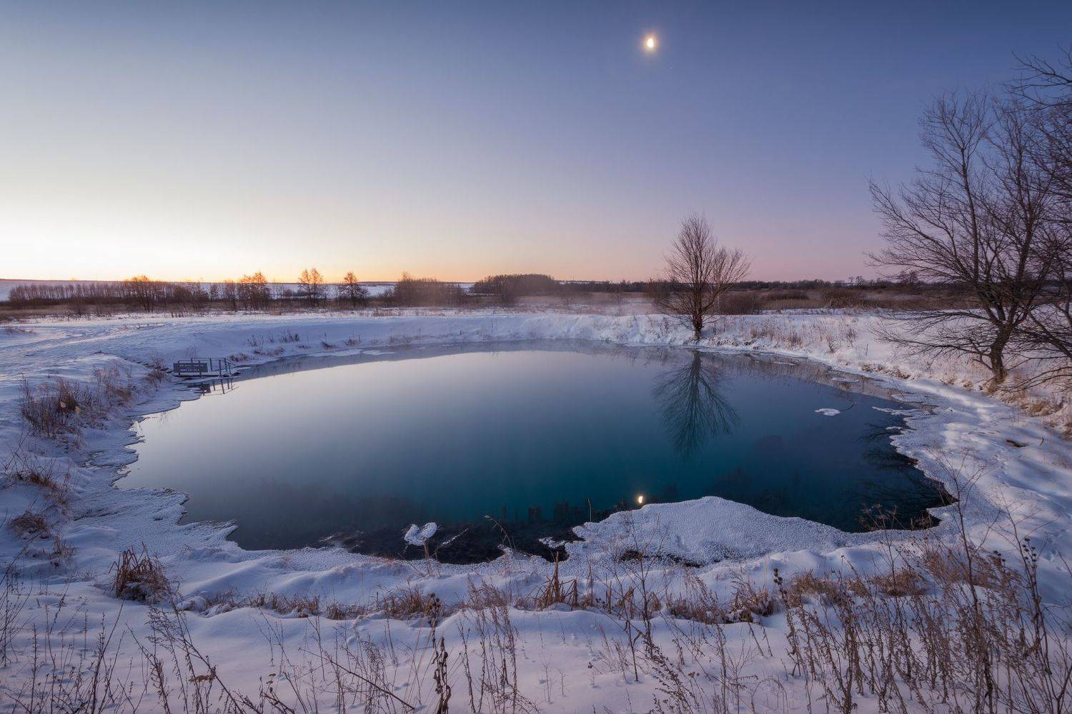 , Алексей Проняхин