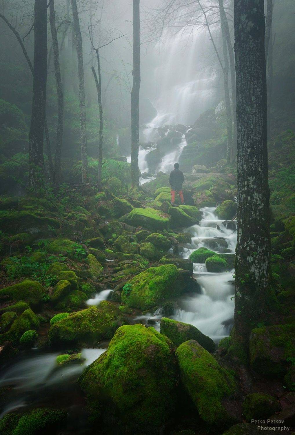 , Петко Петков