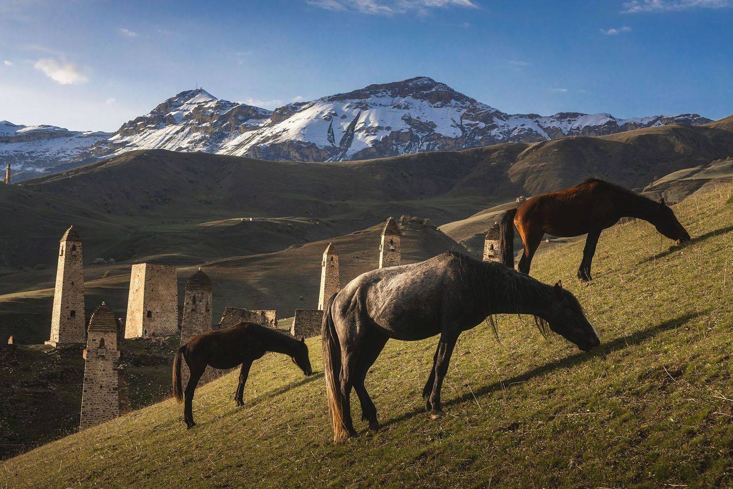 , Грамаков Юрий