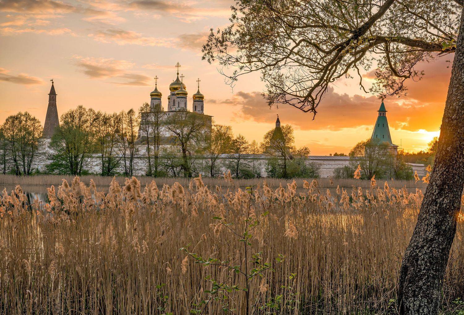 теряево.закат., Бирюков Вячеслав