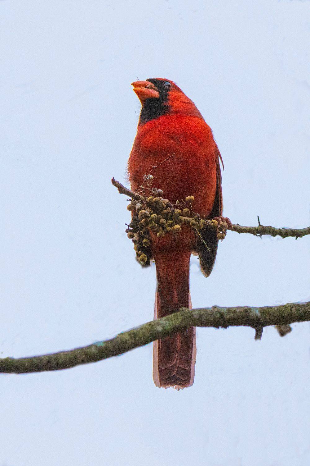 , Леонид Дьяченко