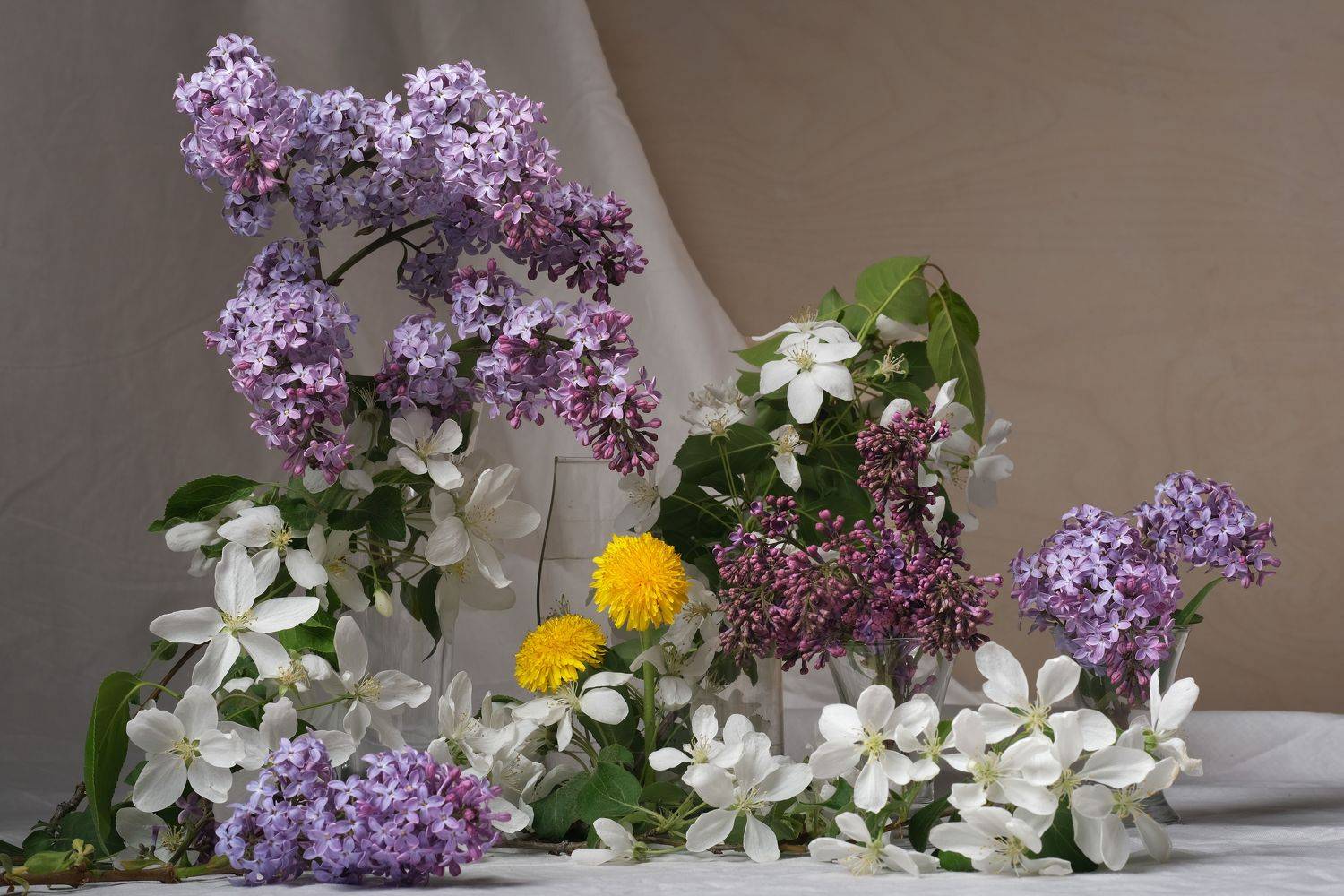 , Тим Мартынов