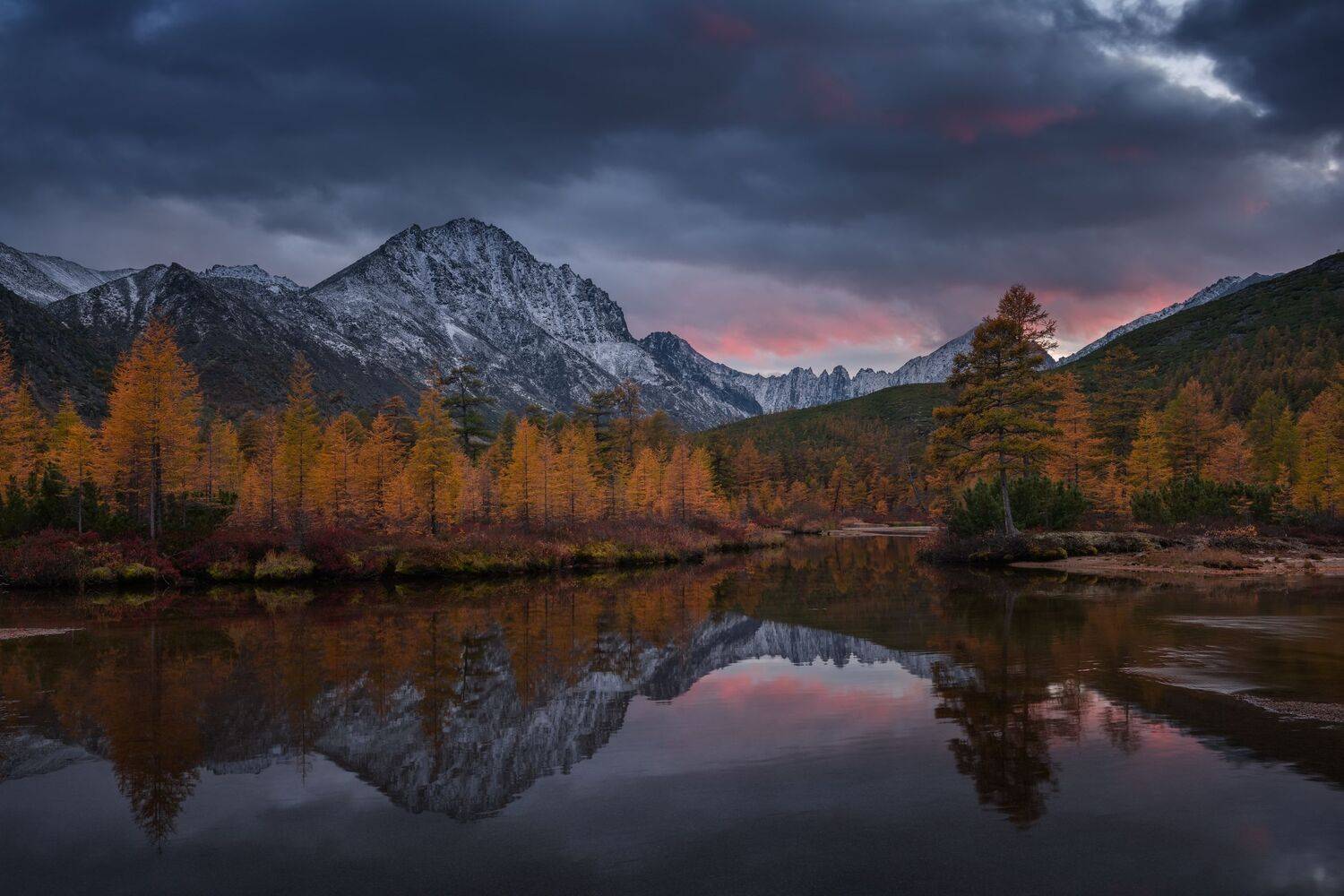 , Максим Евдокимов