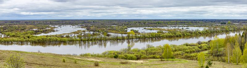 разлив, река, весна, май, вода Разлив реки Молома (2023) фото превью