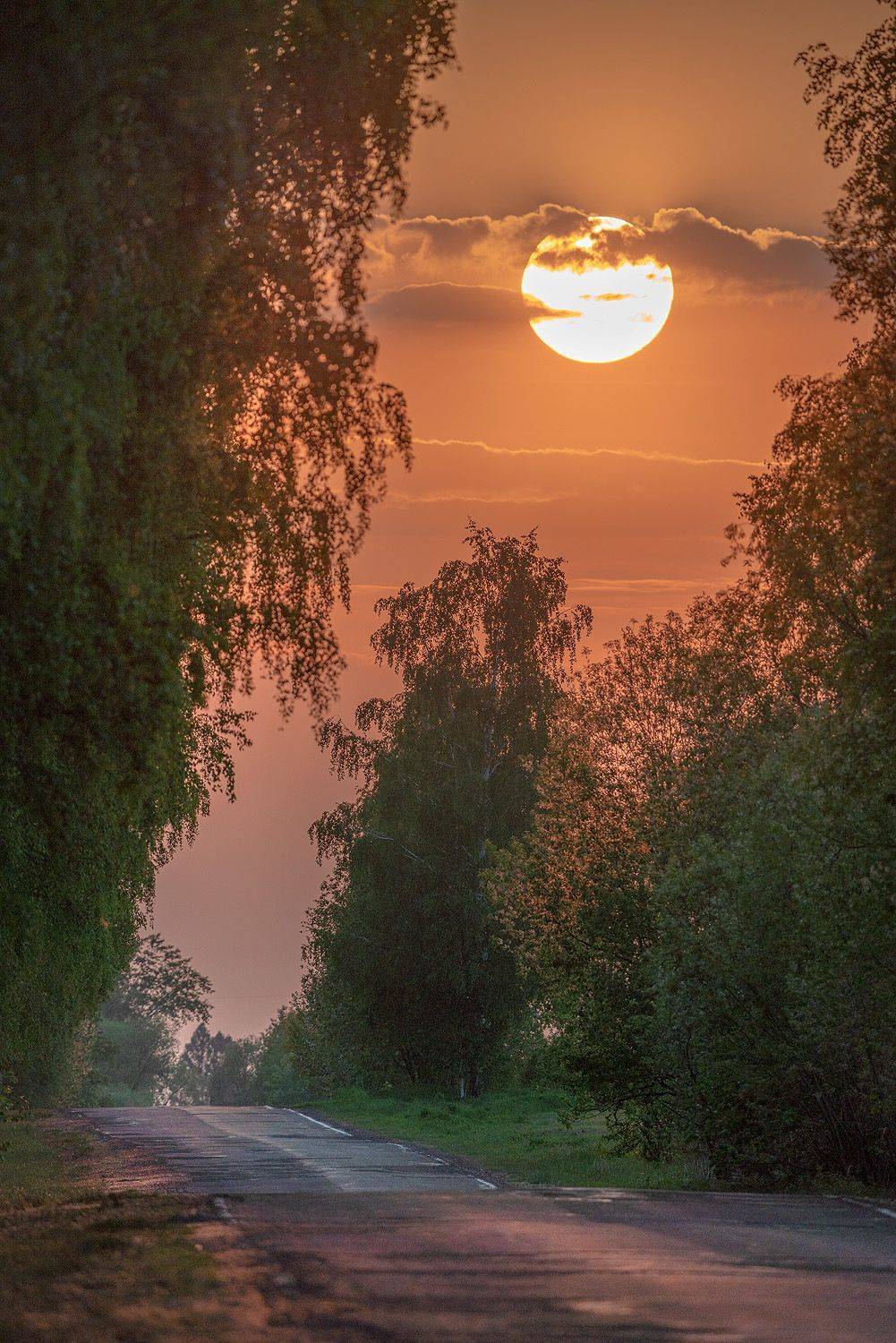 , Тябин Владислав