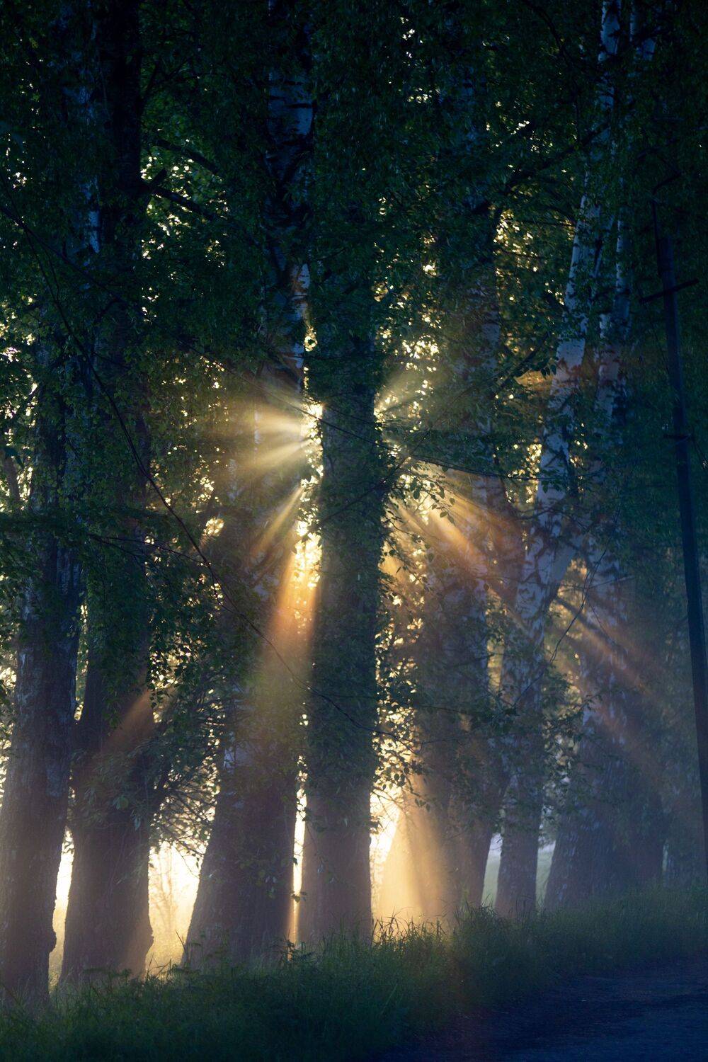 , Сергей Фаренюк