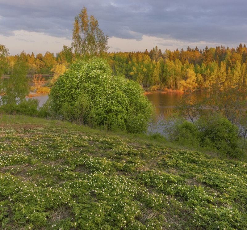 Подмосковье фото превью