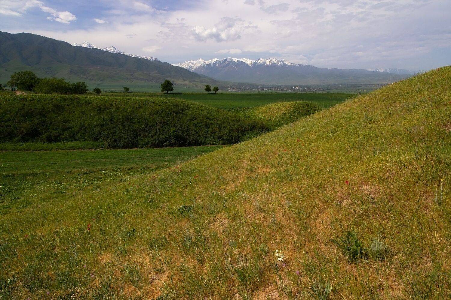 кыргызстан, Элина Магалимова