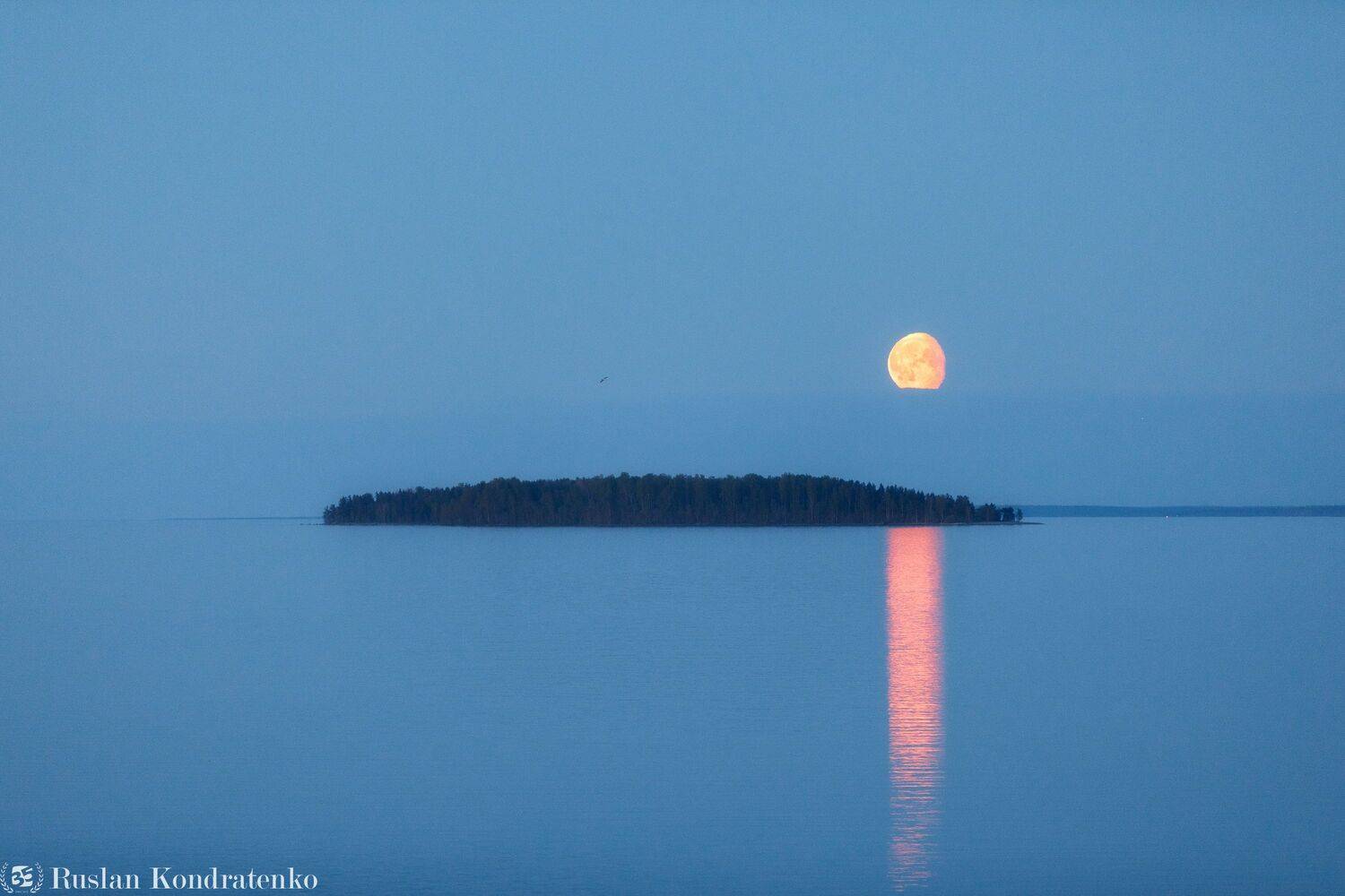 ладожские шхеры, луна, восход луны, белые ночи, Руслан Кондратенко