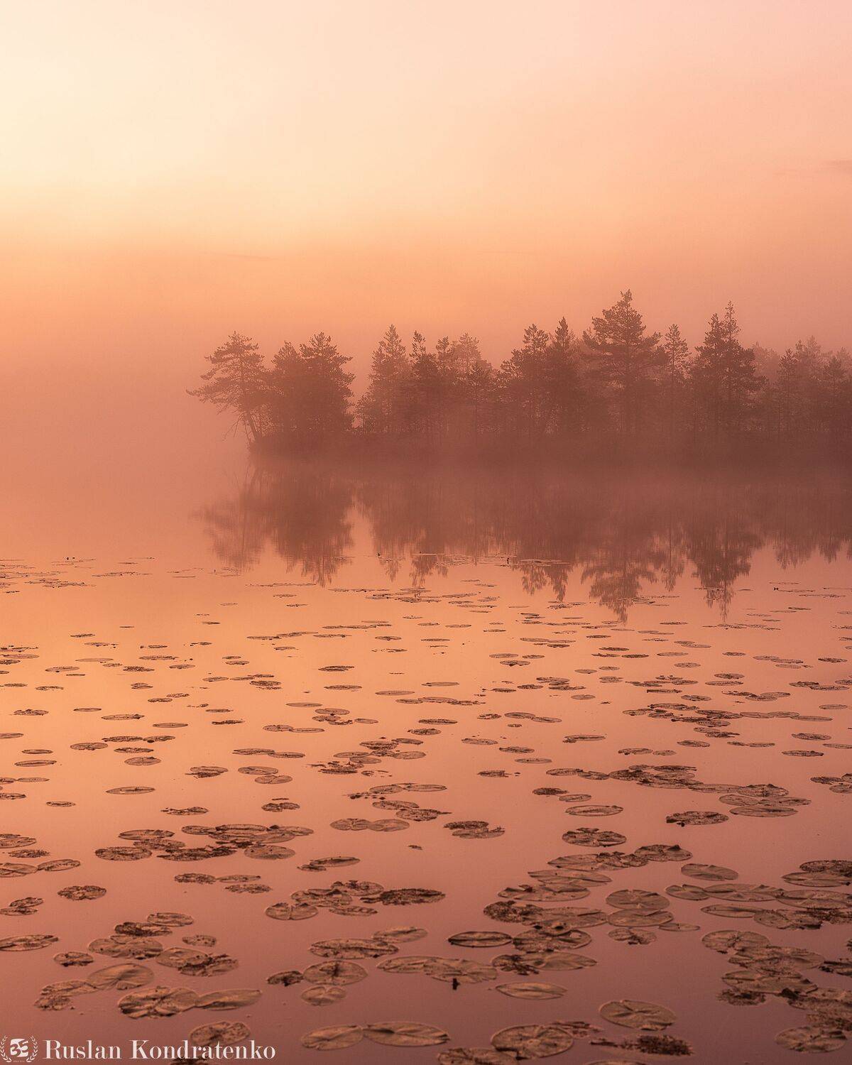 ленинградская область, озеро, рассвет, закат, рыбачье озеро, Руслан Кондратенко
