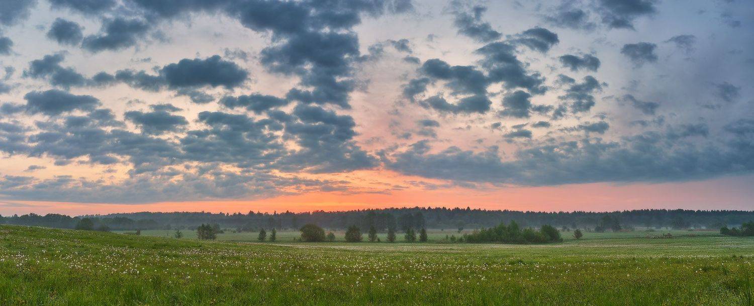 беларусь, весна, май, облака, панорама, поля, птичь, рассвет, река, утро, Вейзе Максим