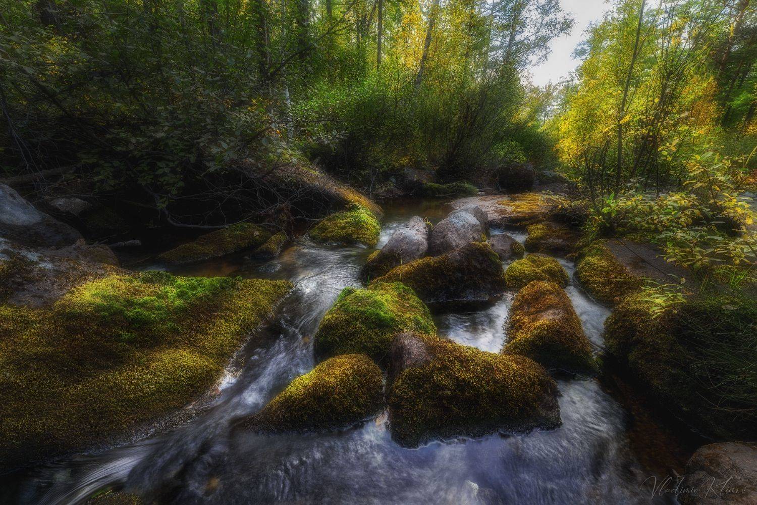 , Владимир Климов