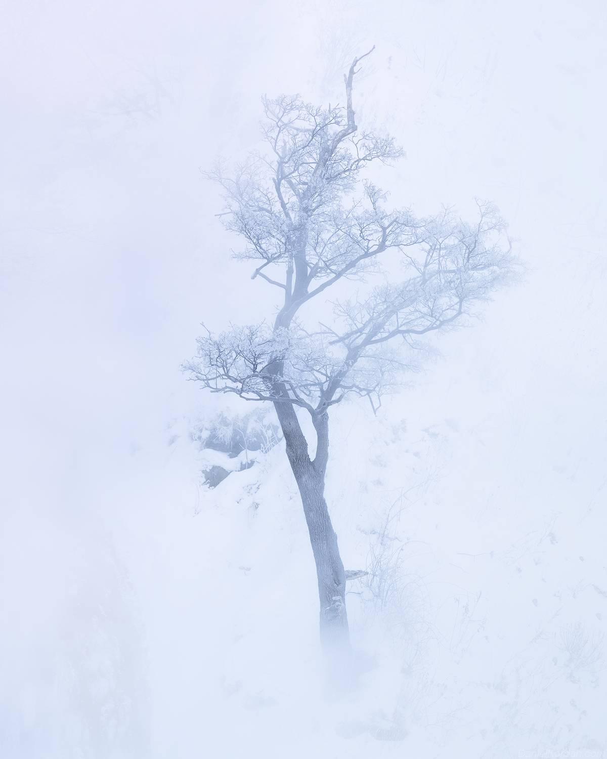 , Даниил Коржонов