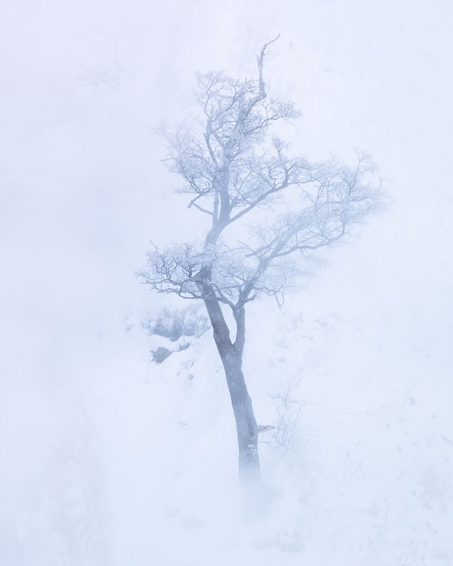 Hokkaido Japan