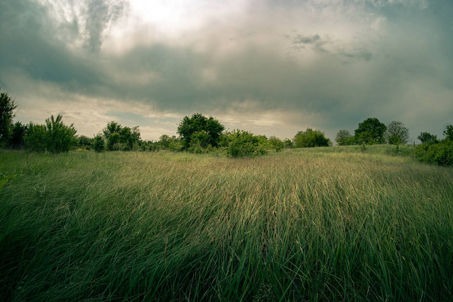 , Вадим Коваленко