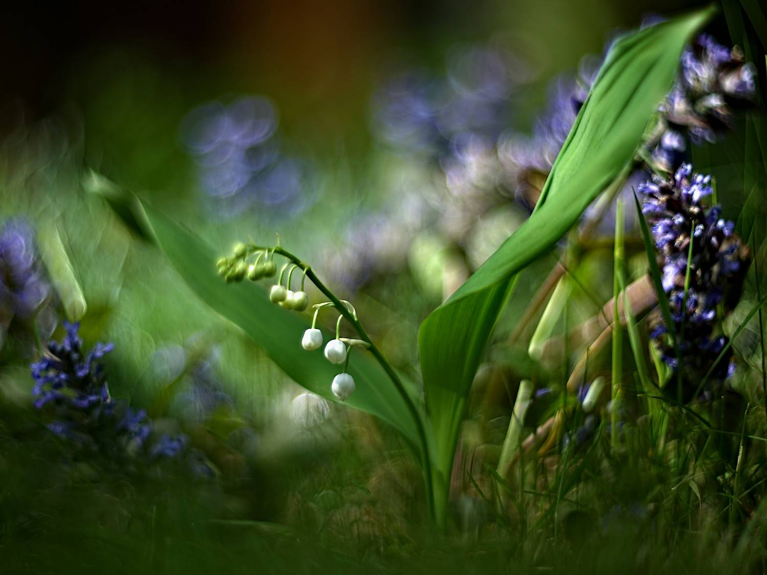 , Эдуард Колобошников