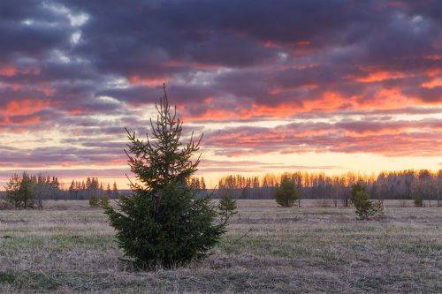 Теплый весенний вечер