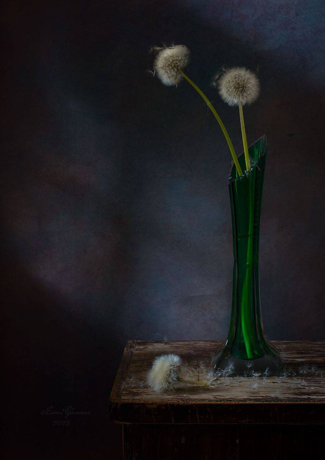 , Елена Рубинская