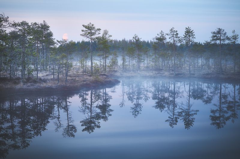 Весеннее туманное утро фото превью