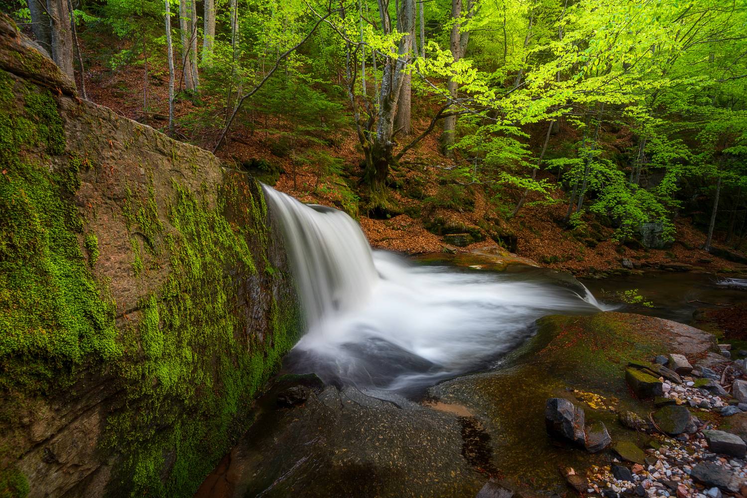 , Mariyana Atanasova - Lucero