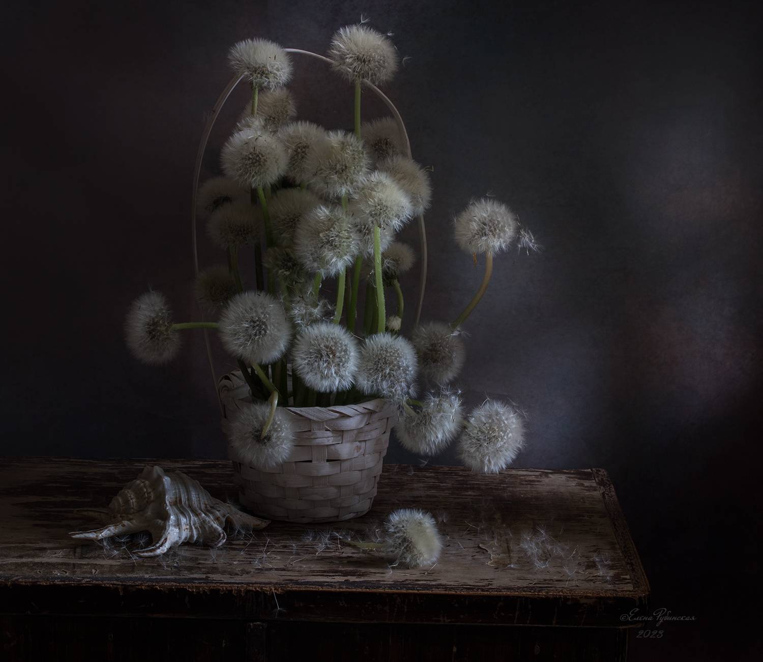 , Елена Рубинская