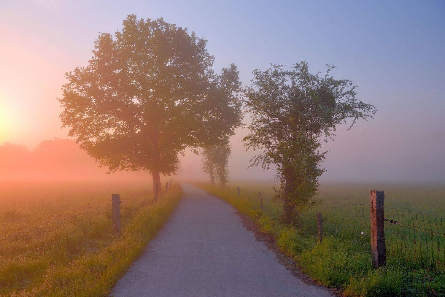 , Руслан Авдевич