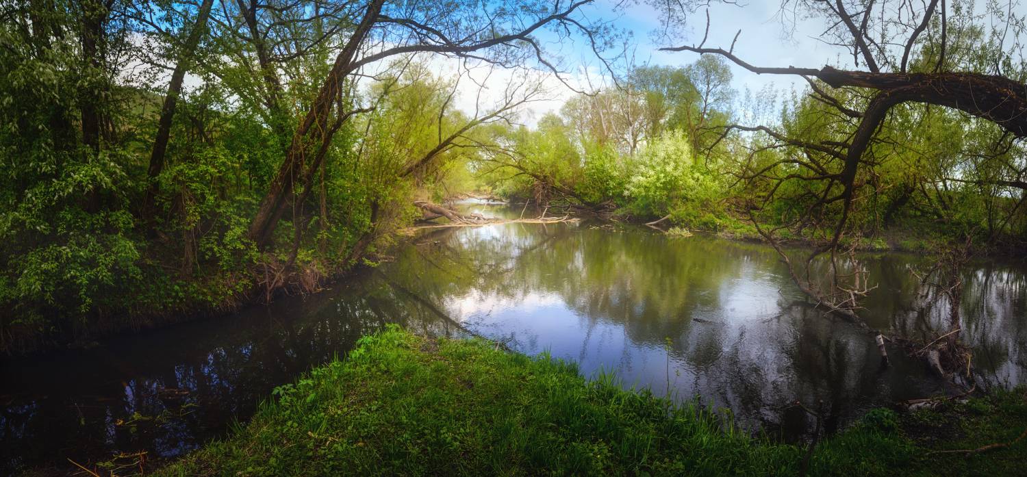 тула, венев, щучье, осетр, Сергей Кочергин