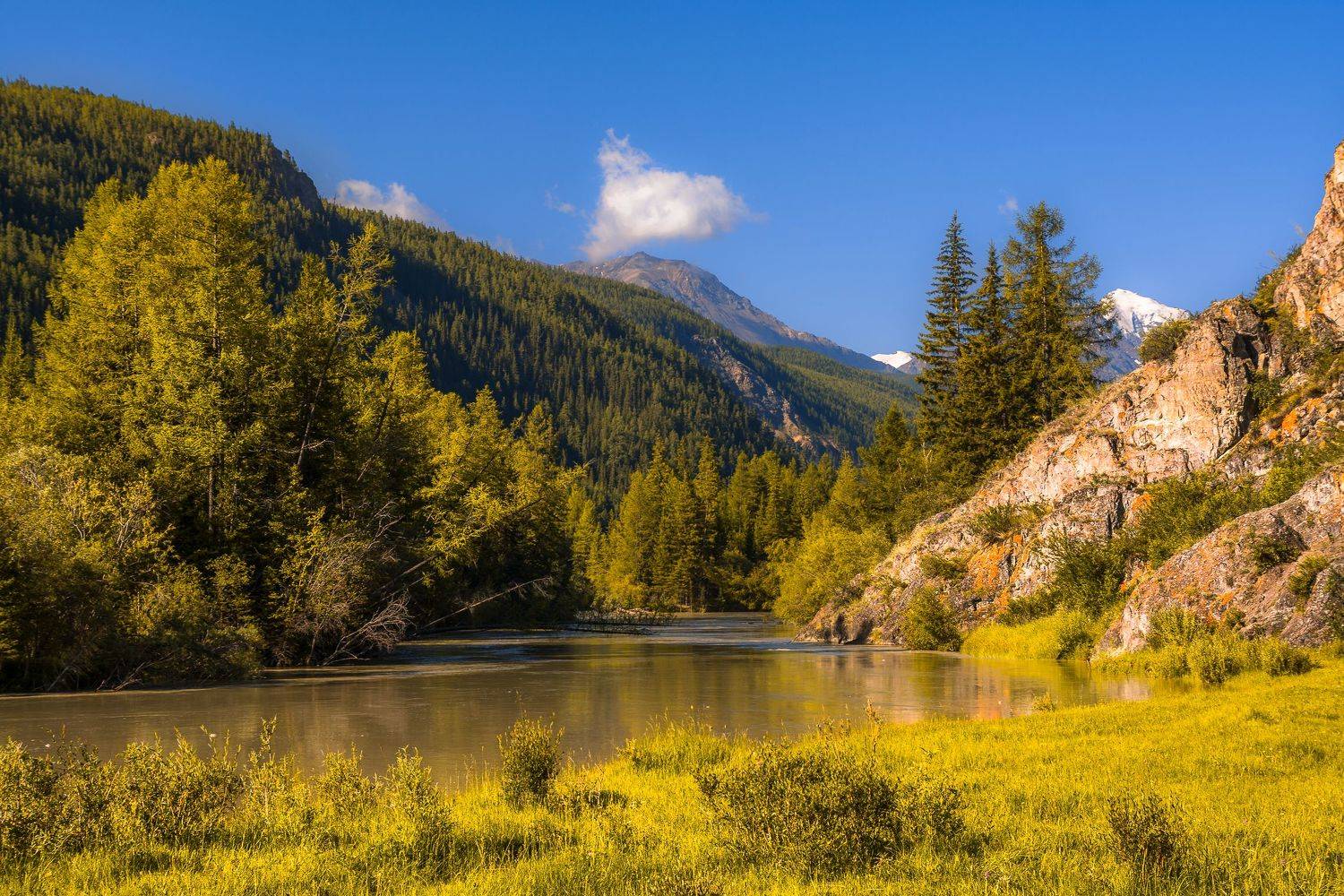 россия, горный алтай, река чуя,утро, Андрей Поляков