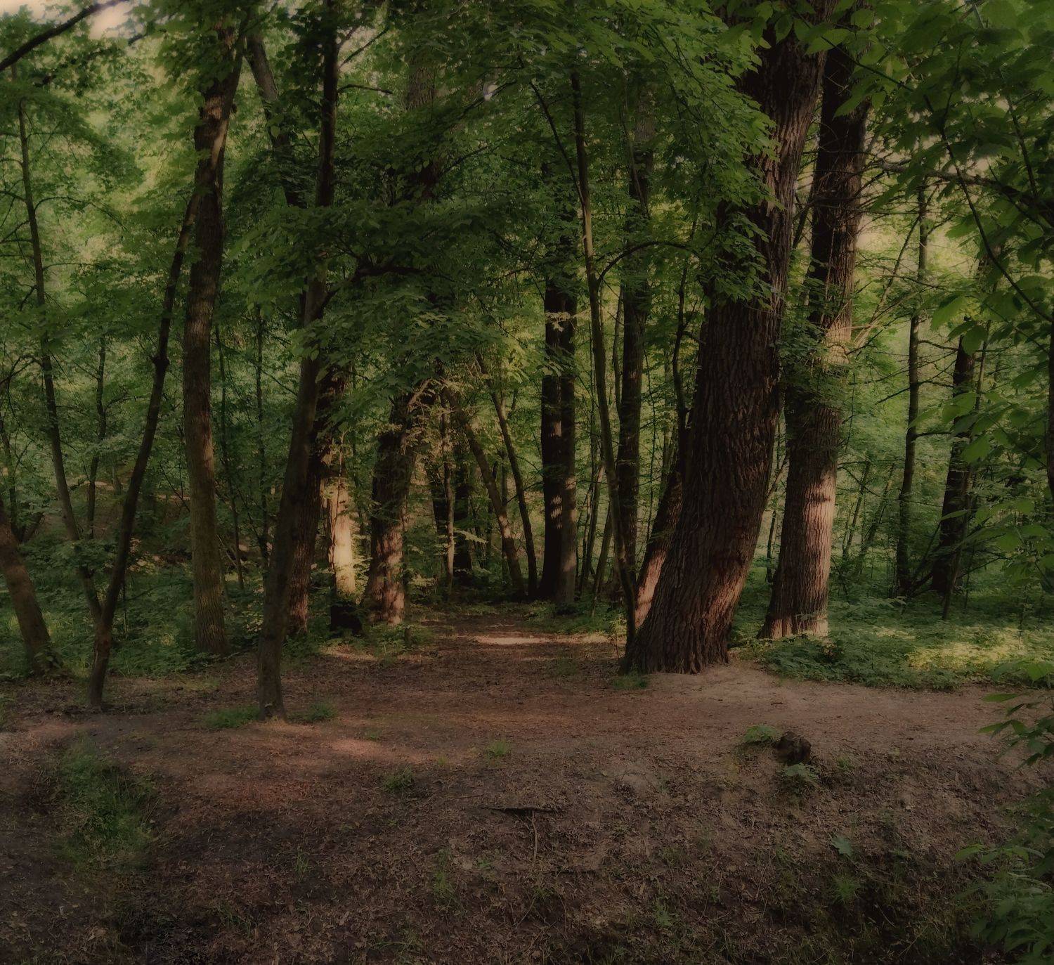 ,  Александр