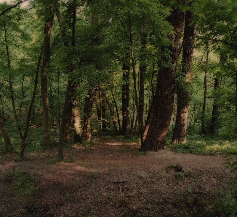 *** фото превью