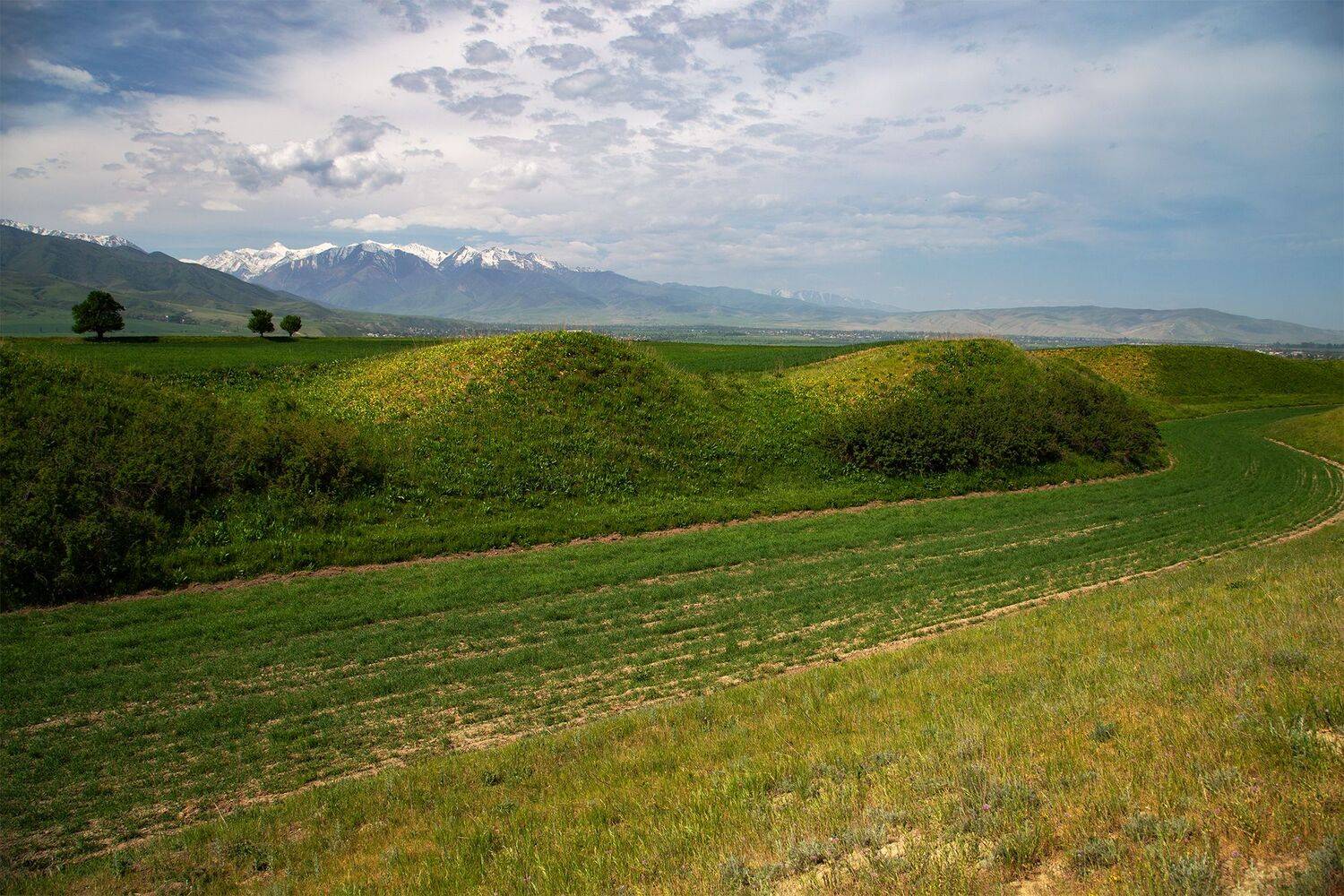кыргызстан, Элина Магалимова