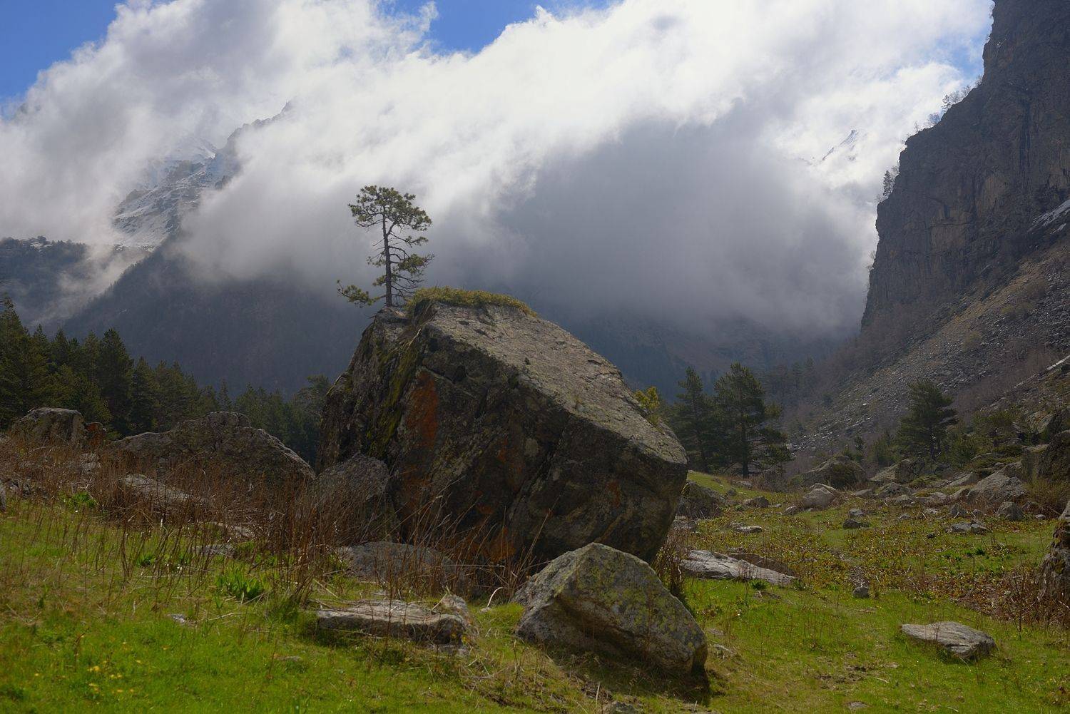 горы весна кавказ, Александр Жарников