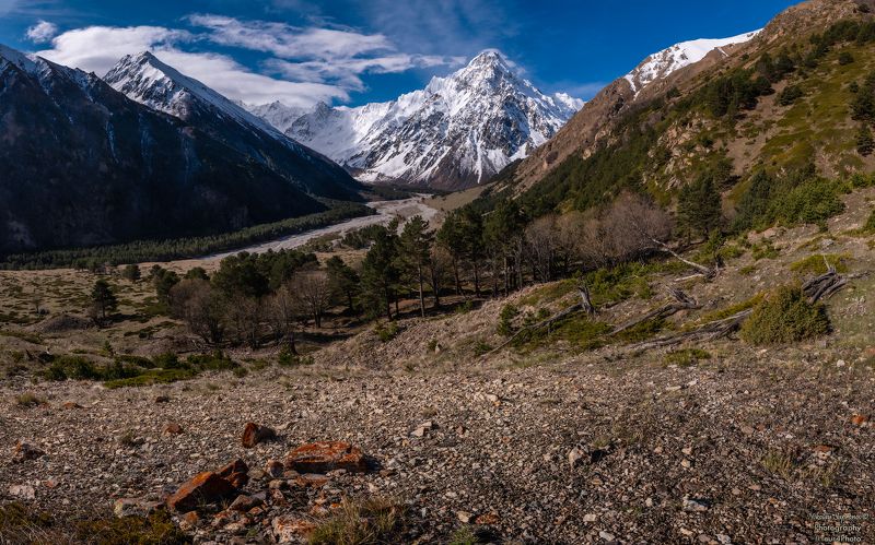 главный кавказский хребет, кавказ, кабардино-балкарский высокогорный заповедник, ущелье, горная река, северный кавказ, caucasian, panoramic shot, mountains, caucasus «Панорамный вид на ГКХ на границе тундры и лесотундры» фото превью
