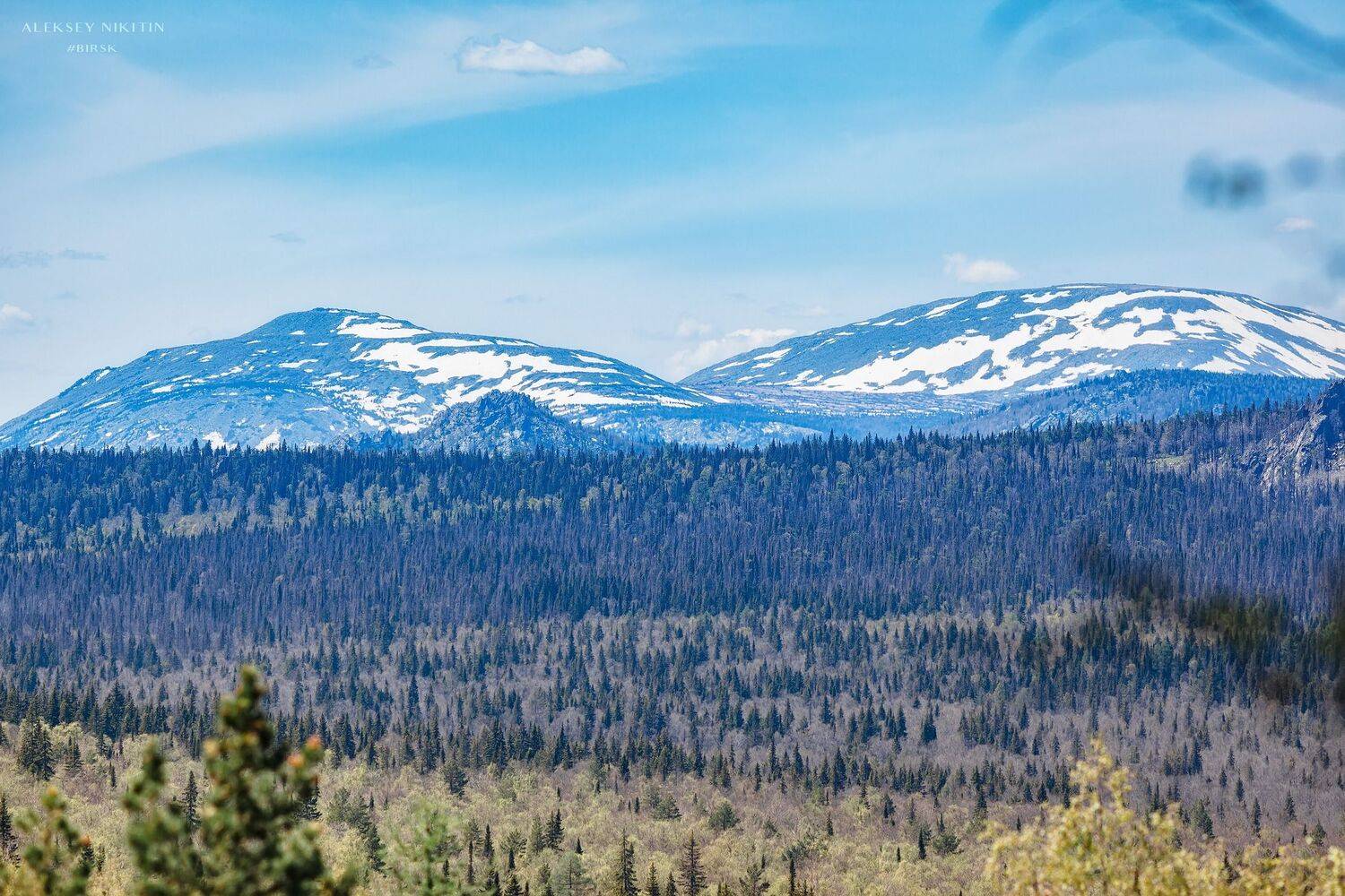 , Никитин Алексей