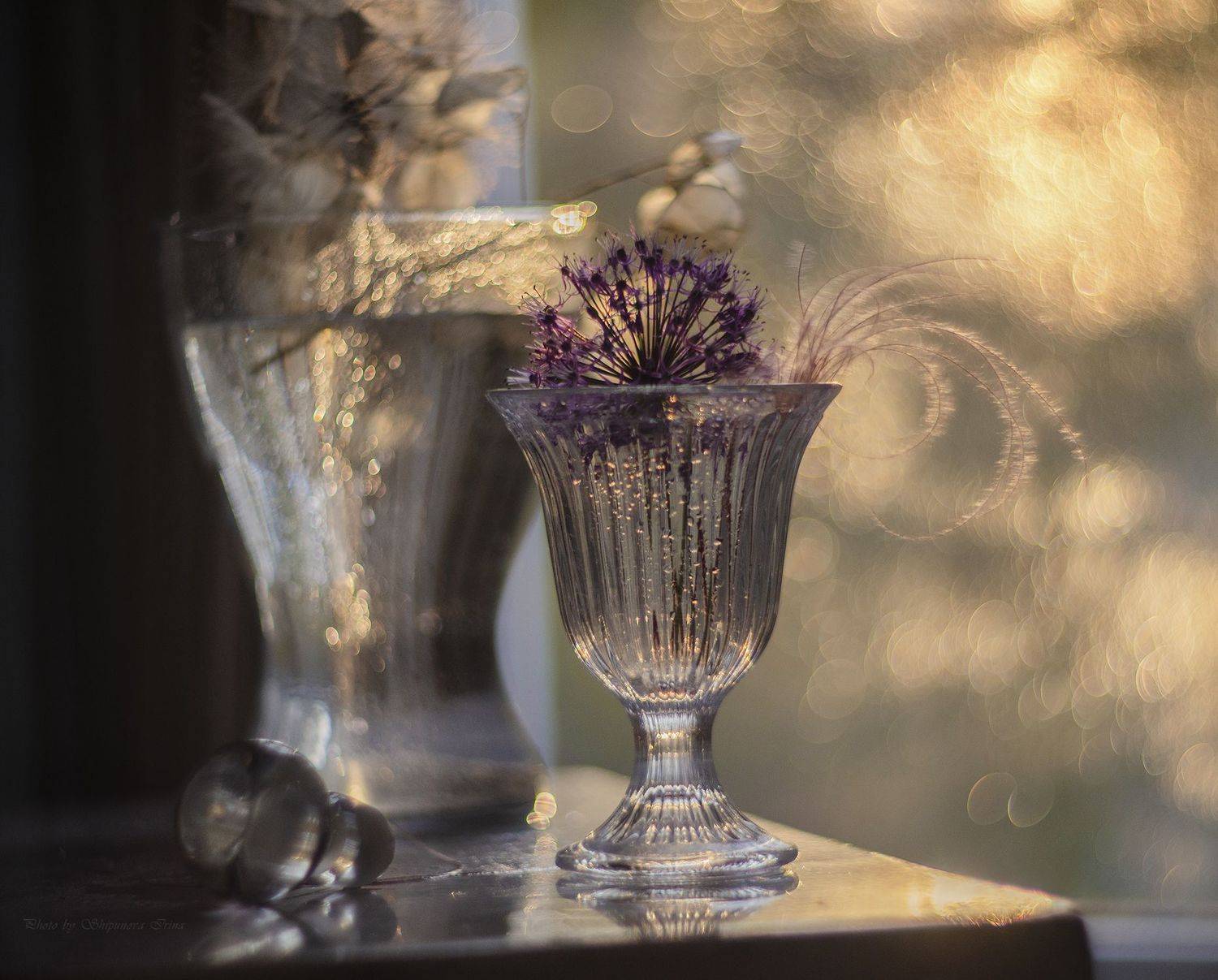 стекло, закатный свет, аллиум, ковыль, гелиос, боке, Ирина Шипунова