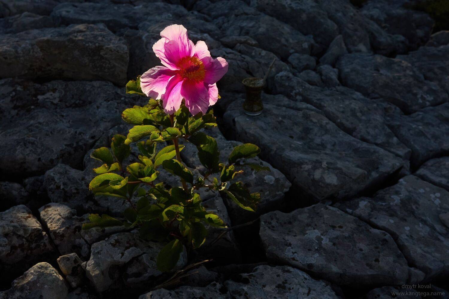 дмитр коваль, гималаи и крым вне треков, пейзаж как магия, Коваль Дмитр