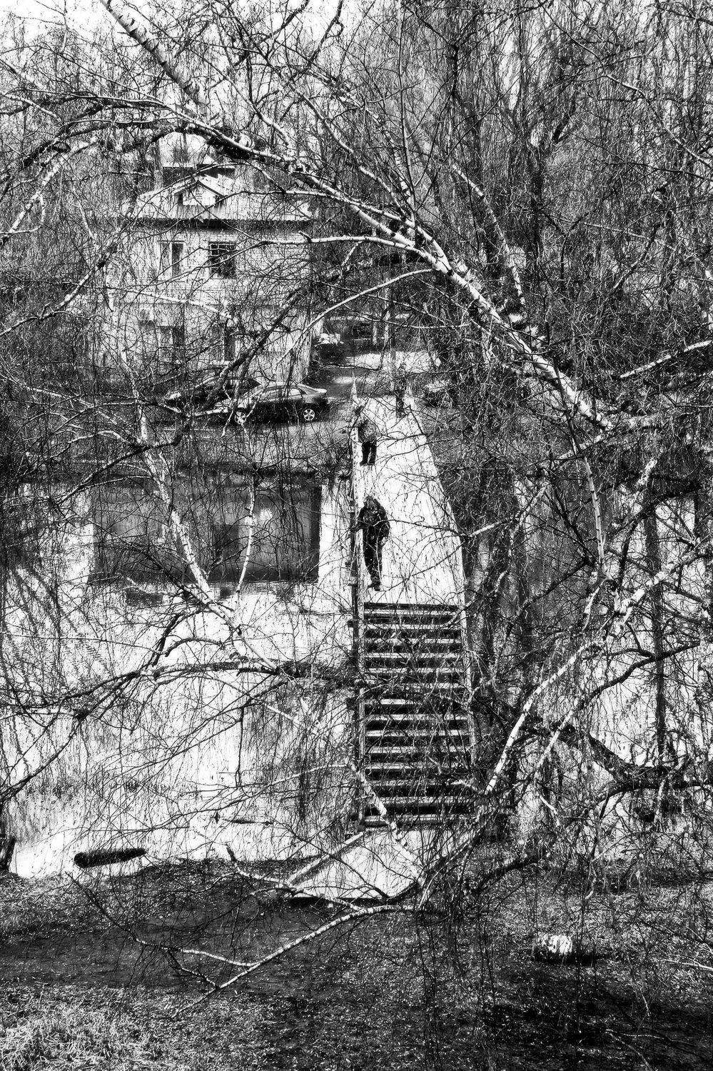 , Елена Лаврова