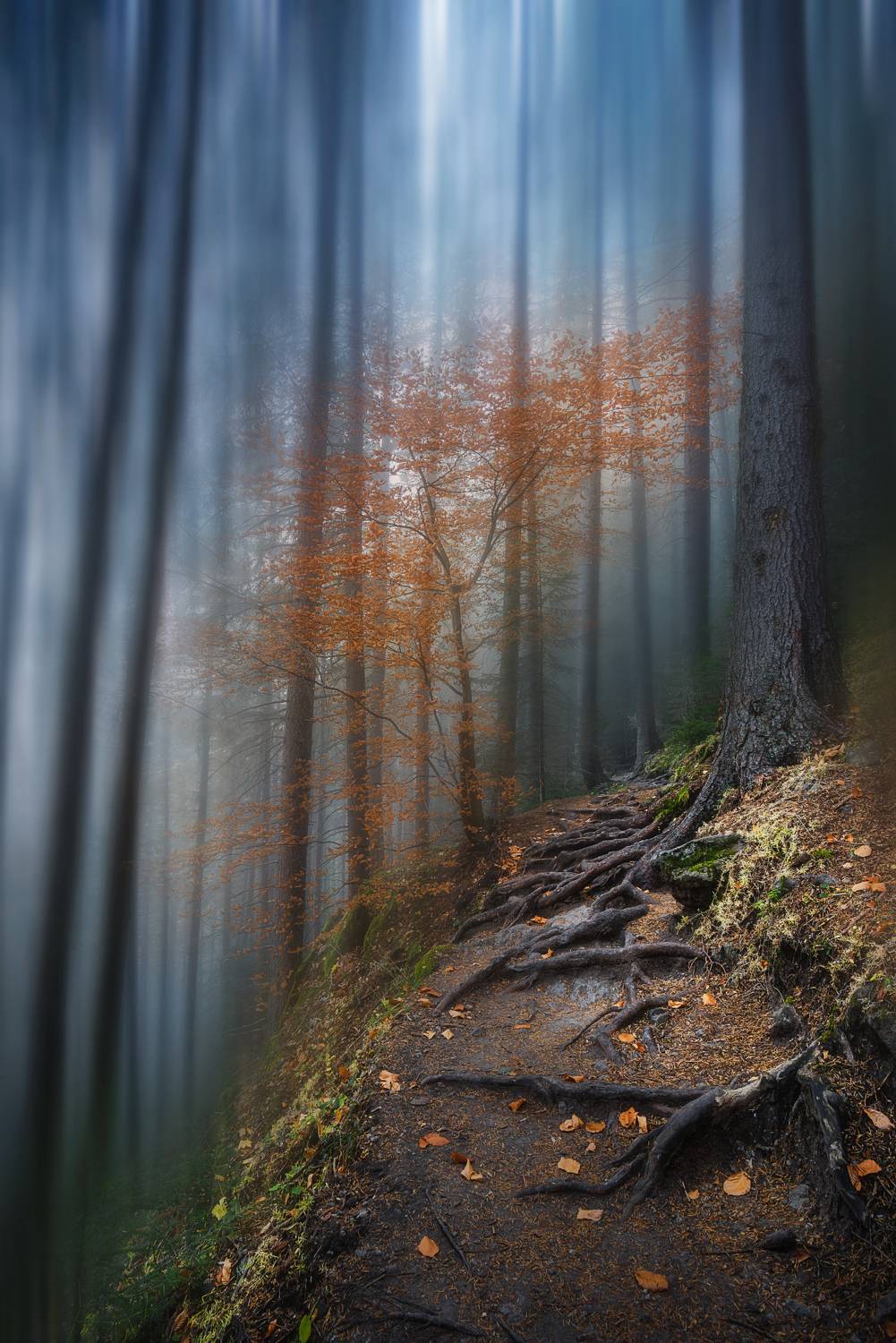 , Mariyana Atanasova - Lucero