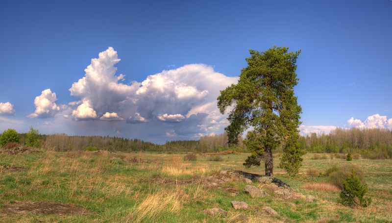 Тучка надвигается :) фото превью