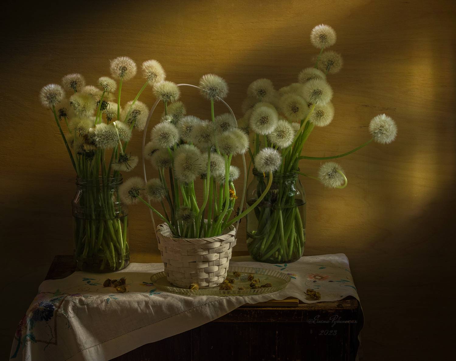 , Елена Рубинская